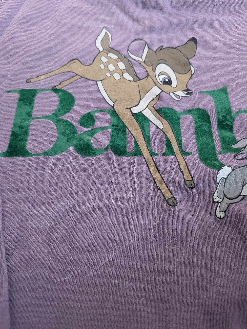 Bambi & Thumper Long-Sleeve Sweat Tee, Special Edition Collab Disney X baby Gap - Picture 4 of 6